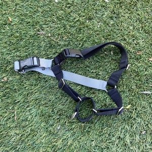 PetSafe EasyWalk No-Pull Harness, L